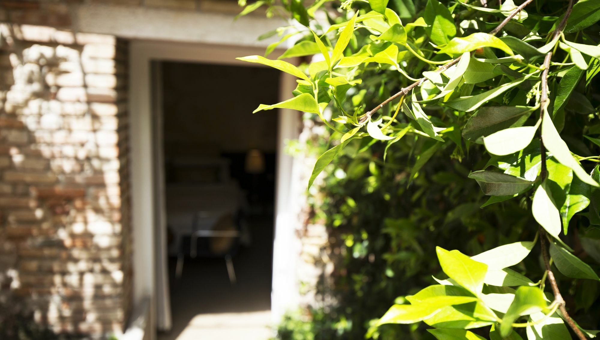 Avogaria 5 Rooms Venice Exterior photo
